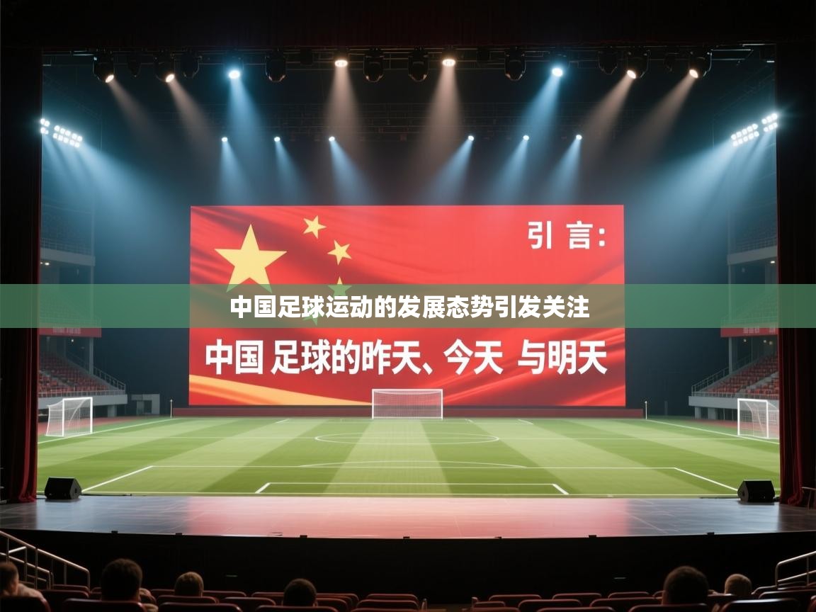 中国足球运动的发展态势引发关注