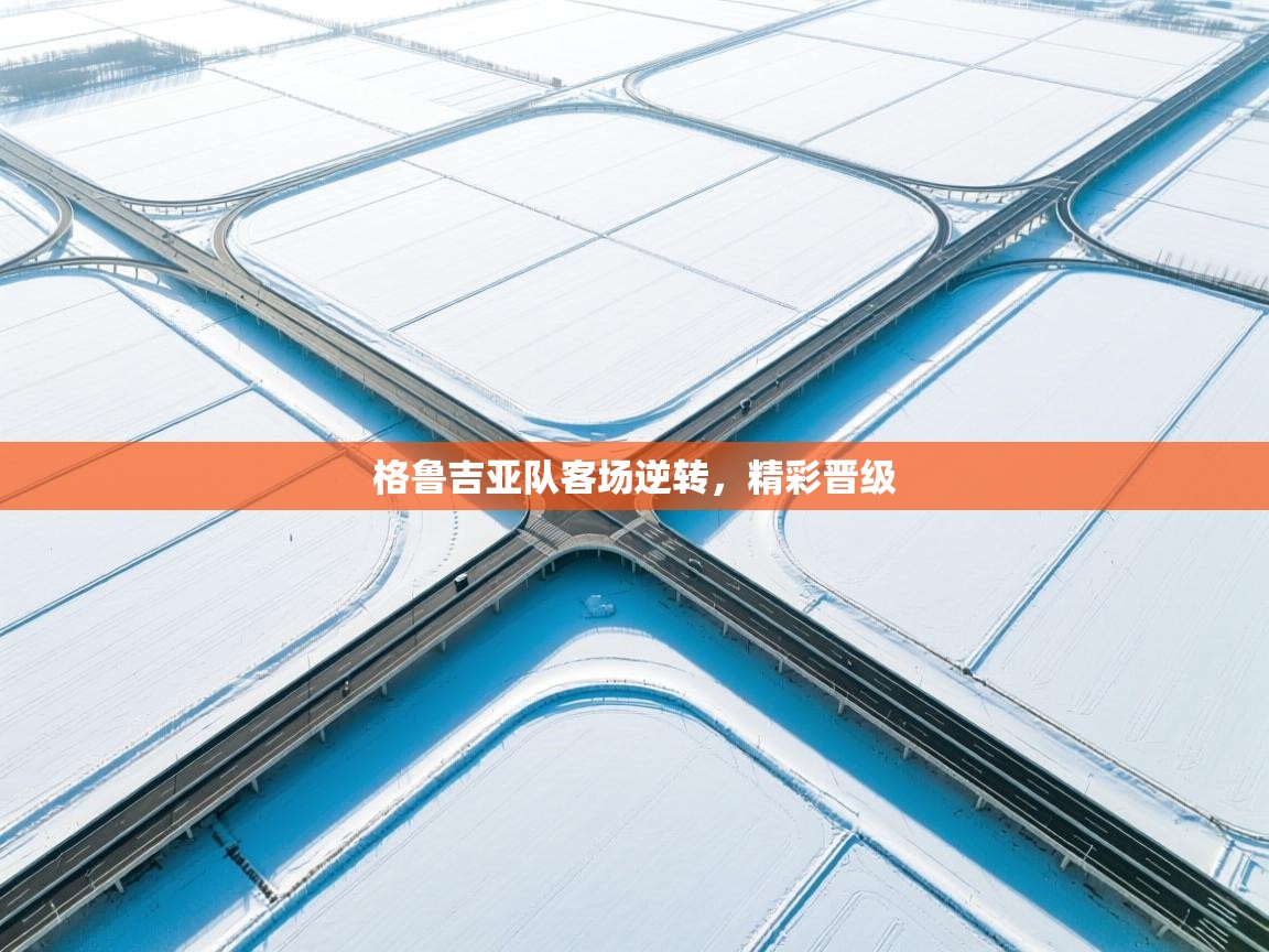 格鲁吉亚队客场逆转，精彩晋级