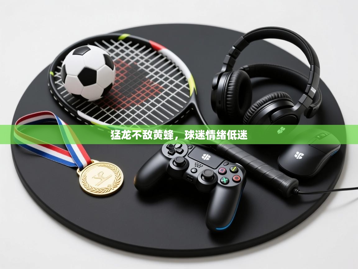 猛龙不敌黄蜂，球迷情绪低迷