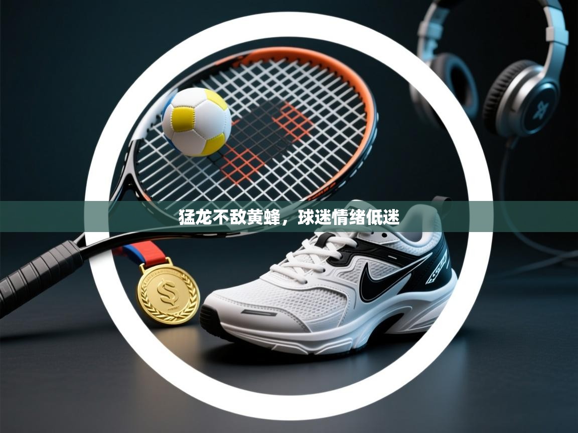 猛龙不敌黄蜂,球迷情绪低迷 第2张